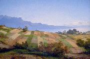 Alexandre Calame Swiss Landscape oil painting on canvas